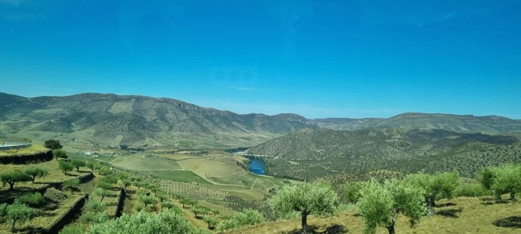 Douro