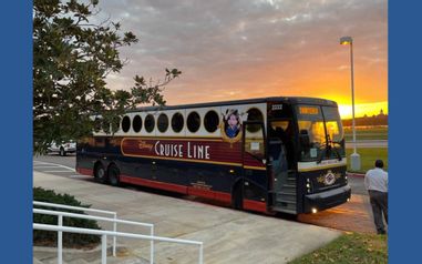 MCO Disney&Universal