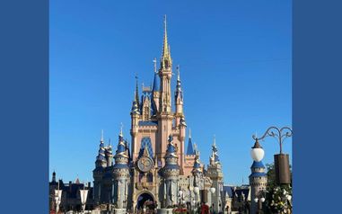 MCO Disney&Universal