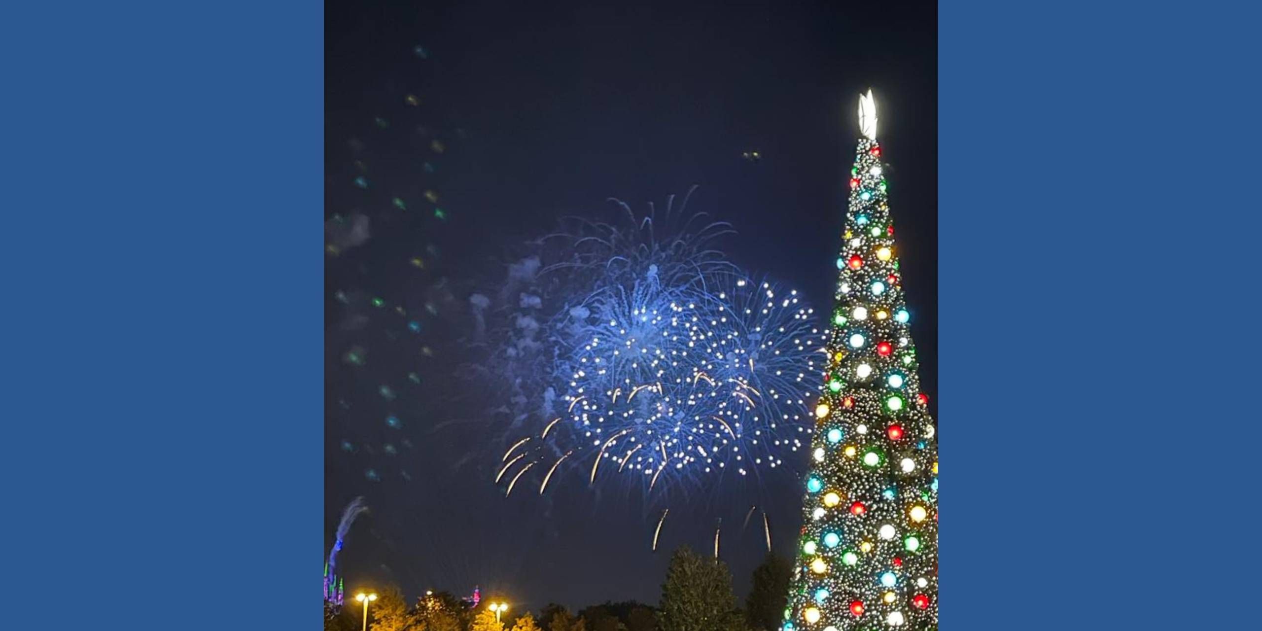 MCO Disney&Universal