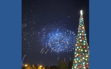 MCO Disney&Universal