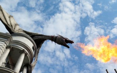 MCO Disney&Universal