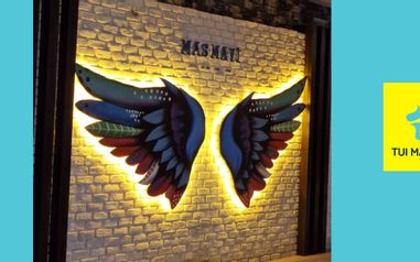 TUI ML RHO DLM AYT