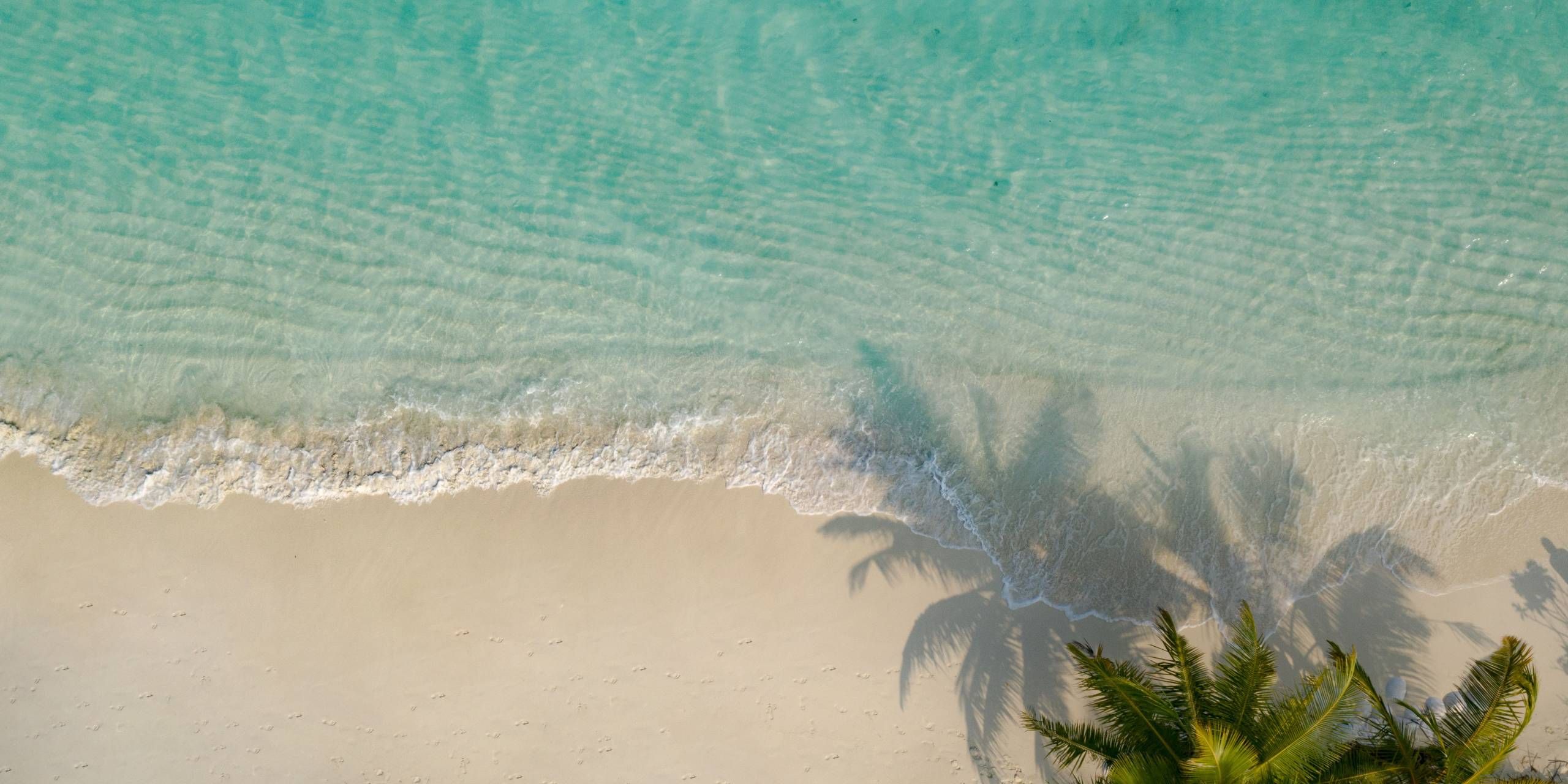Header MLE