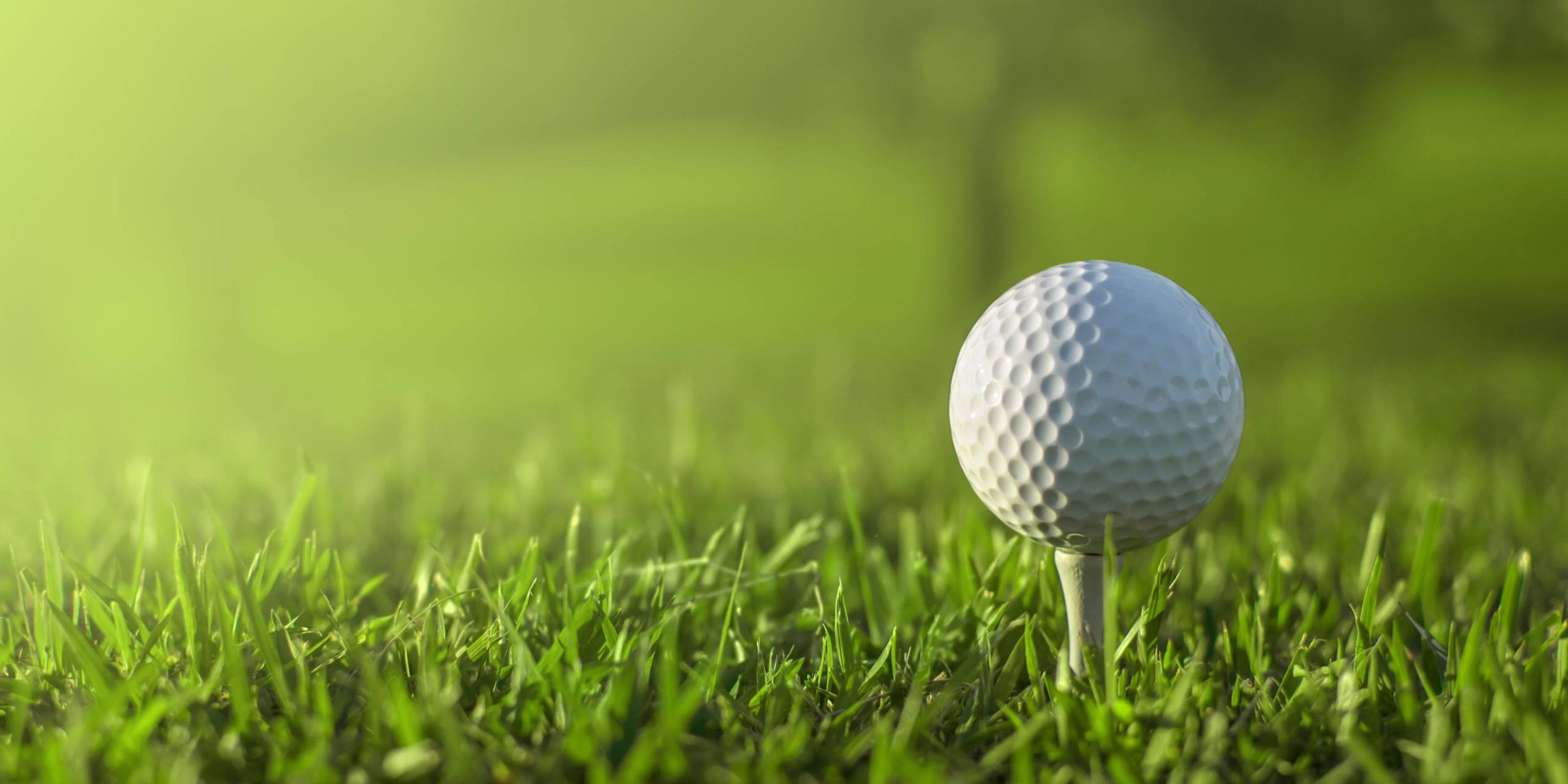 Golf Header