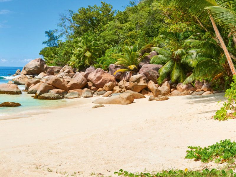 SEZ Constance Lemuria