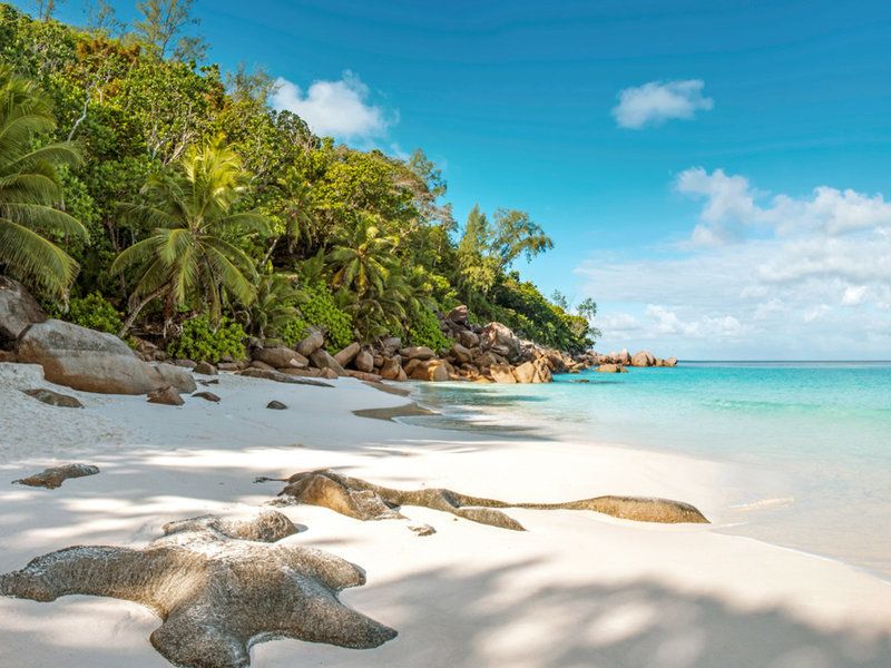 SEZ Constance Lemuria