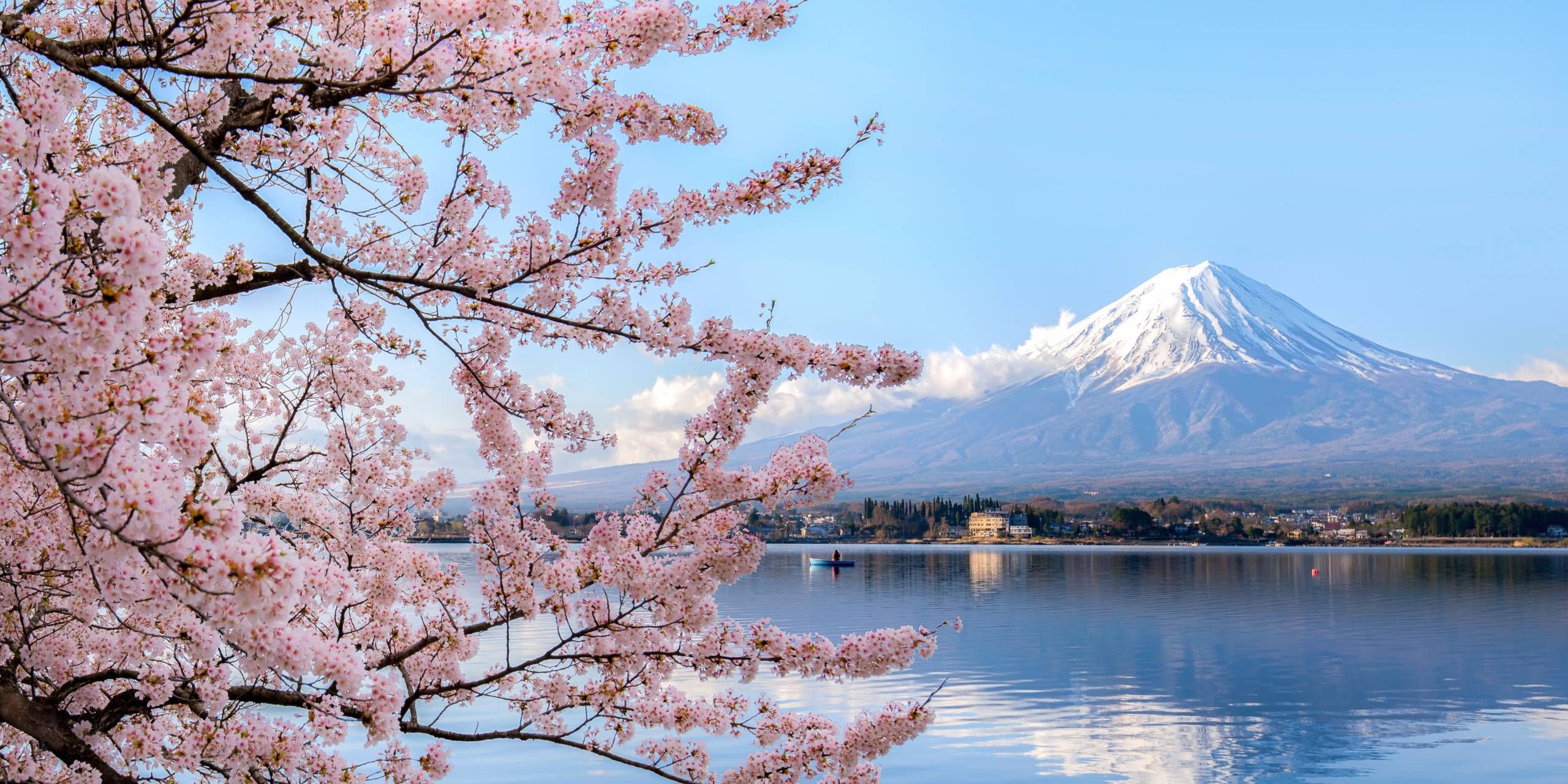 NRT Japan Kirschblüten am See