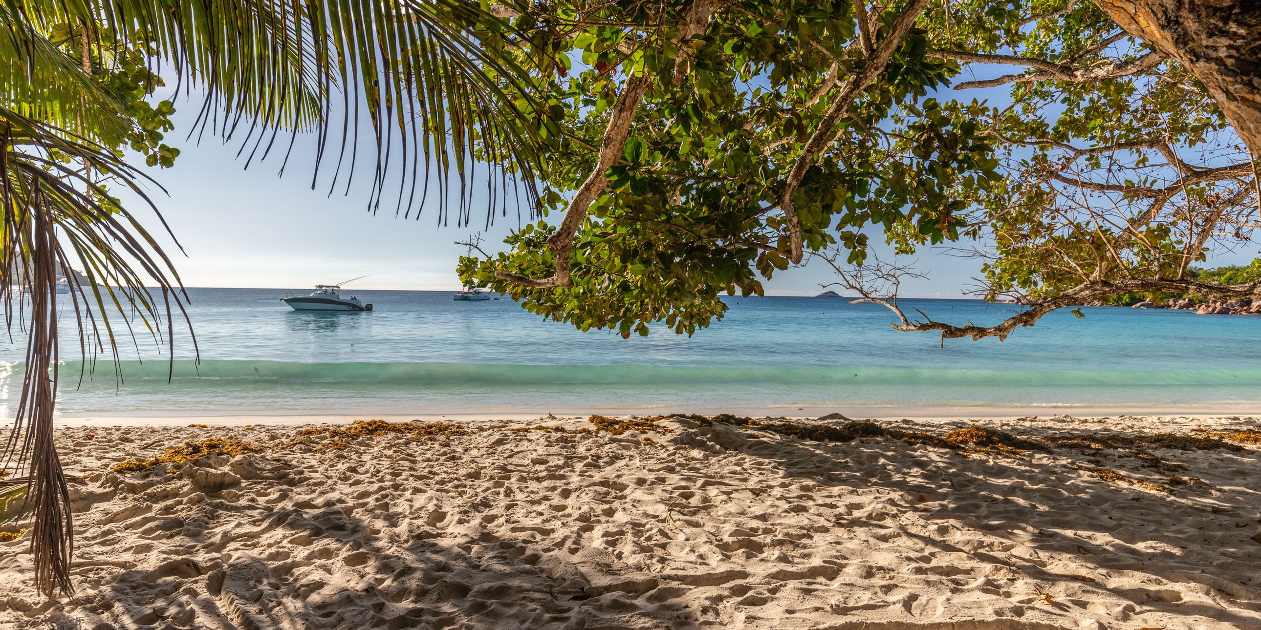 SEZ Impressionen Seycehllen