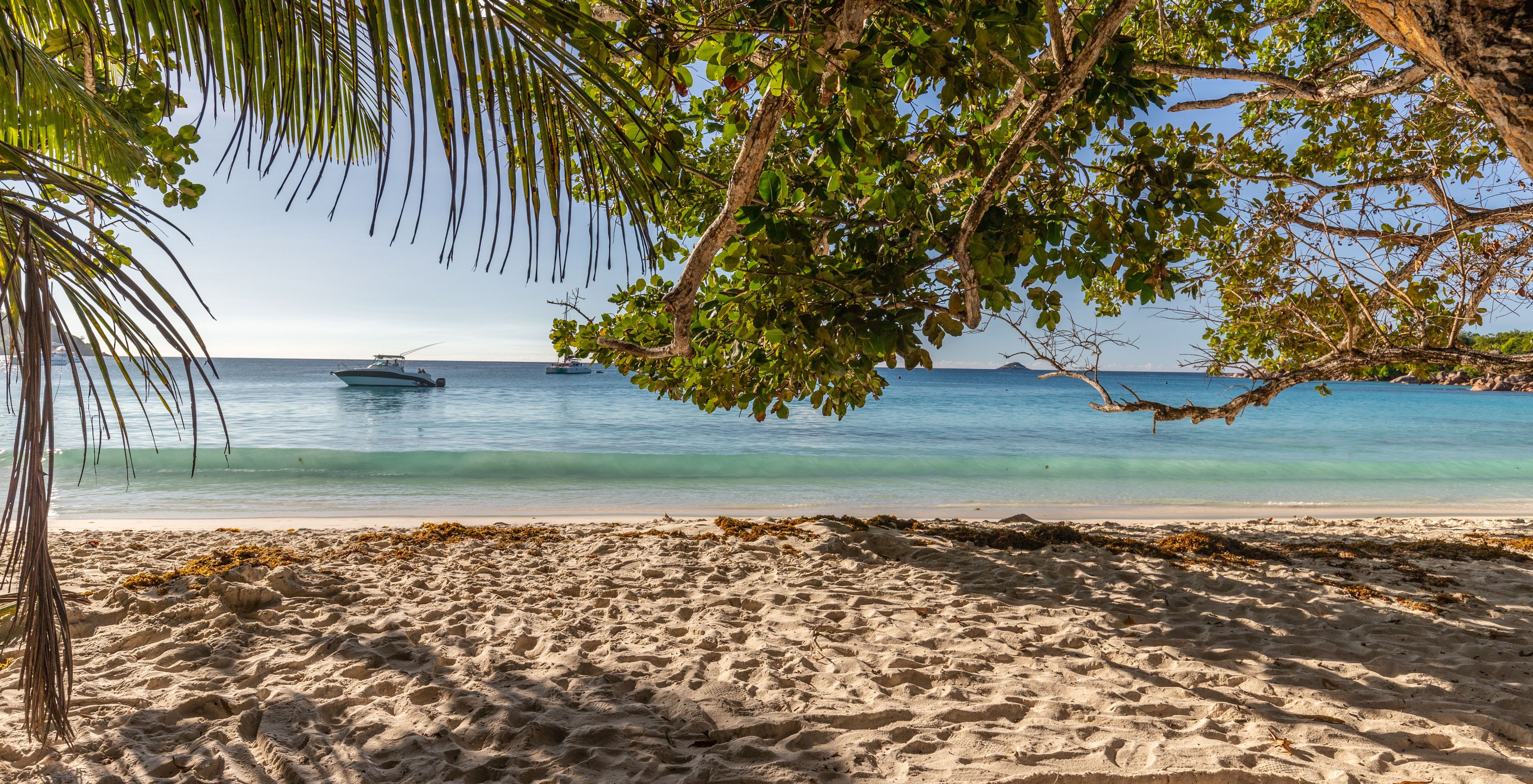 SEZ Impressionen Seycehllen