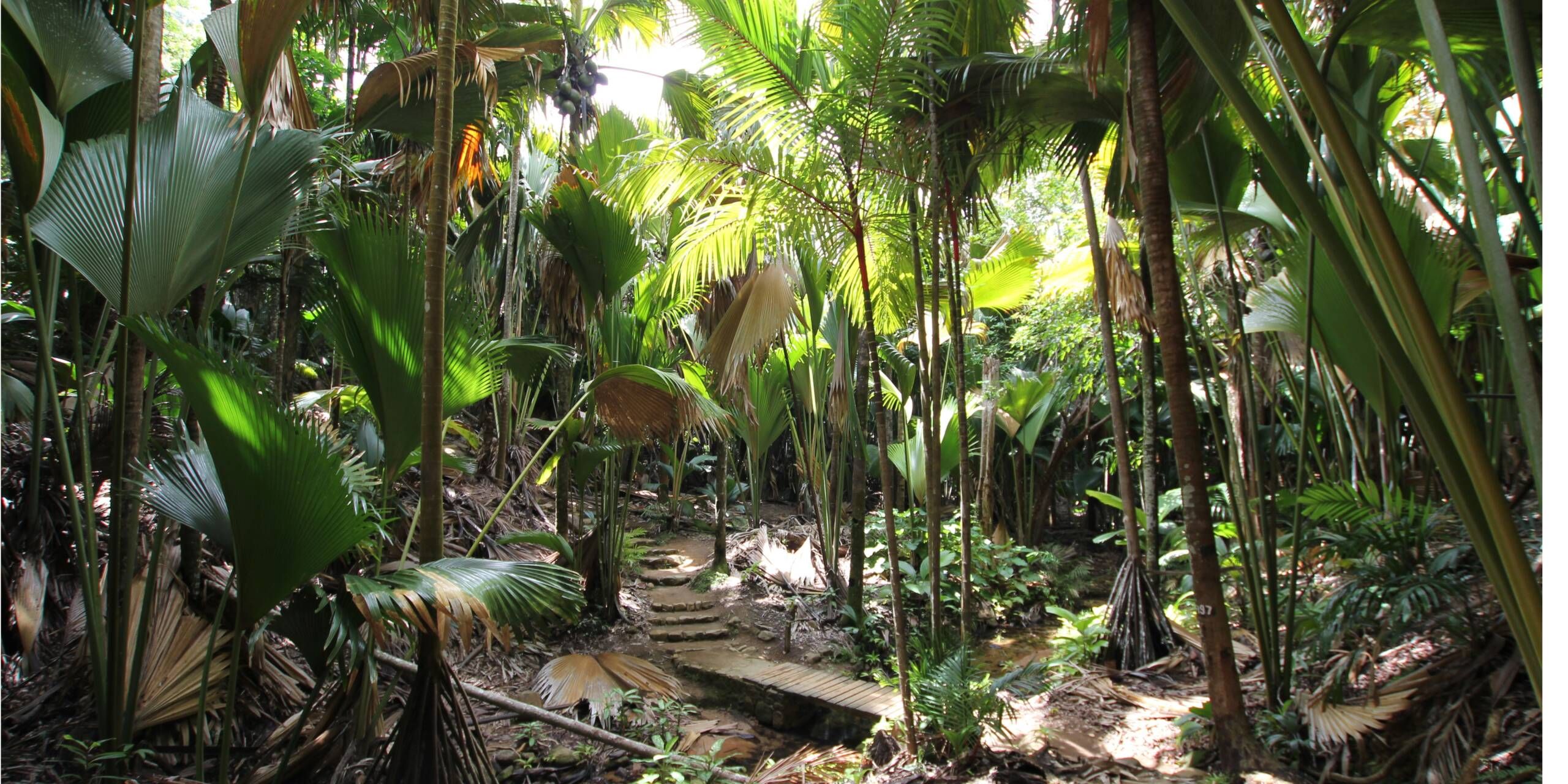 SEZ Impressionen Seycehllen