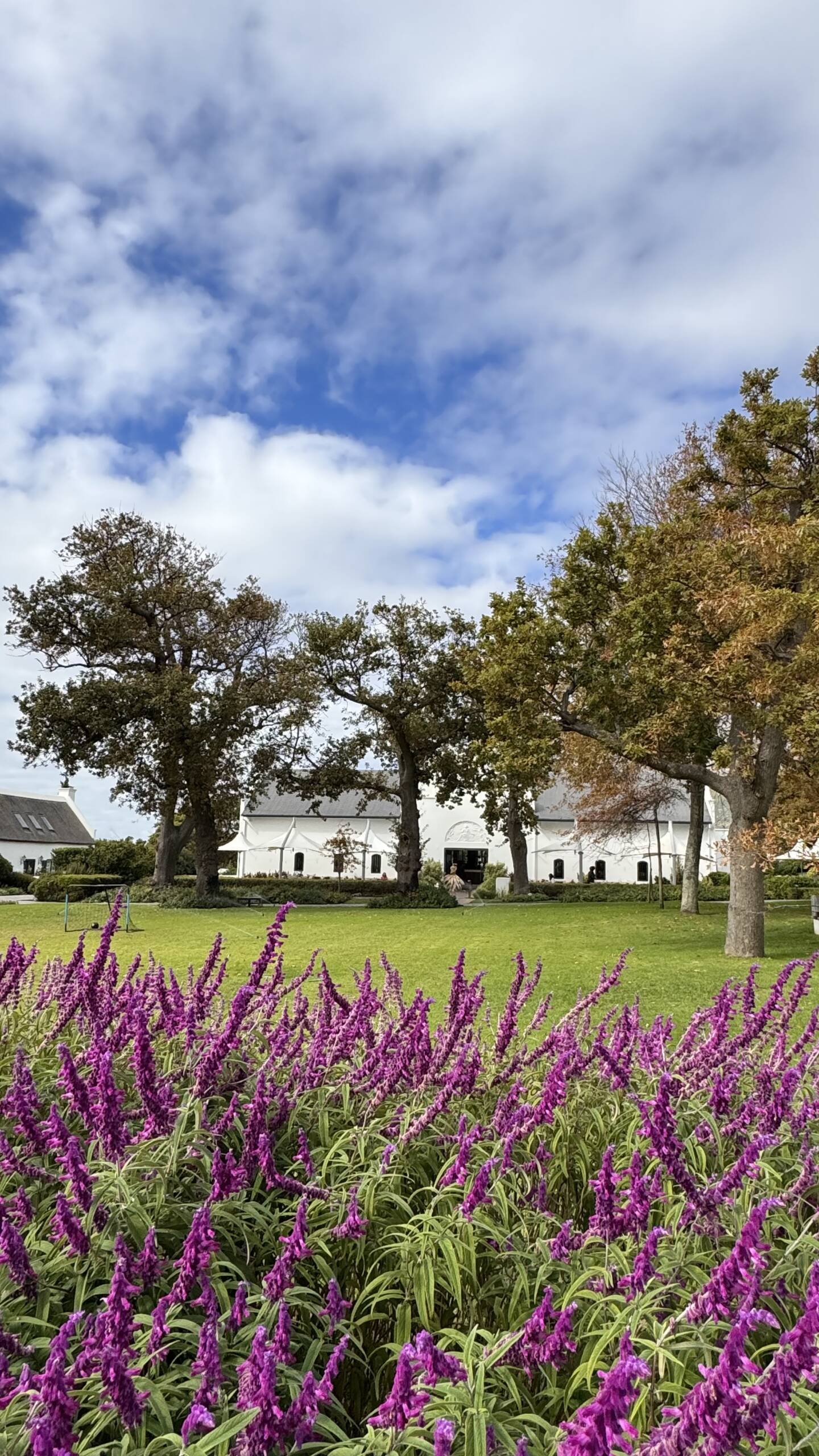 CPT MM Steenberg Golf