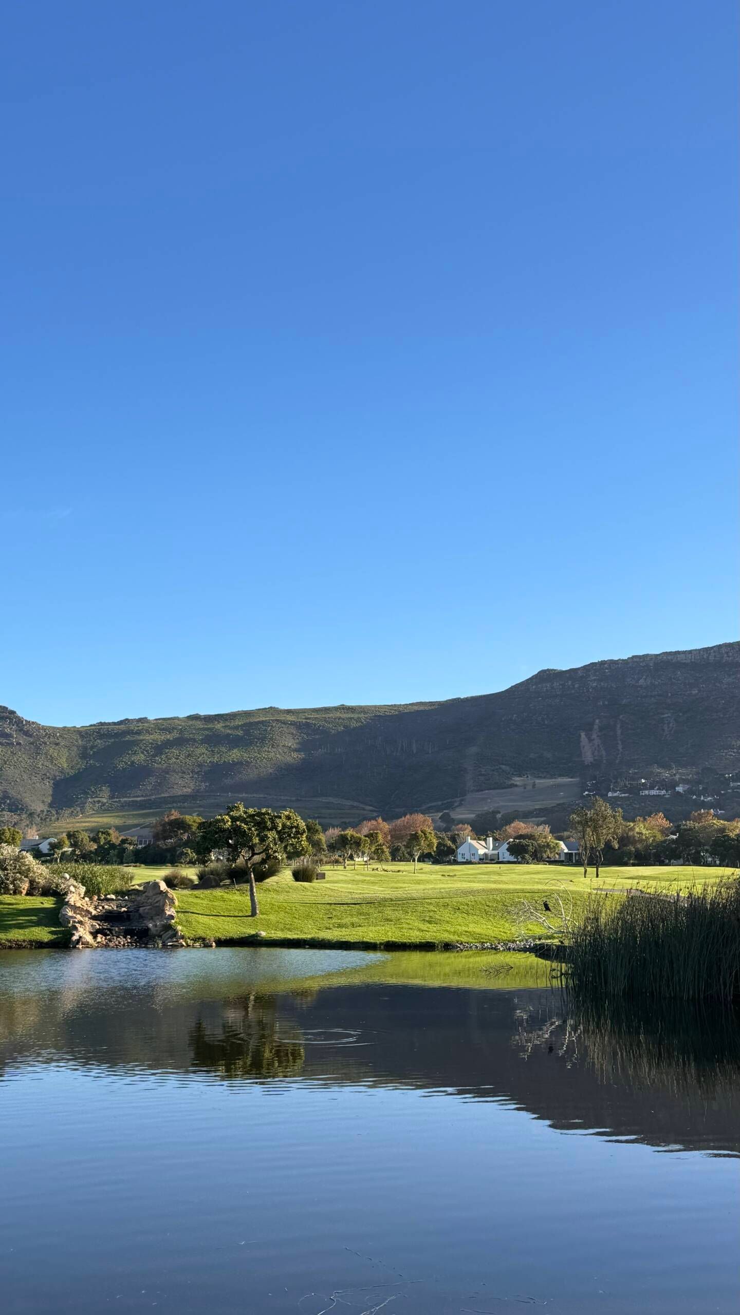 CPT MM Steenberg Golf