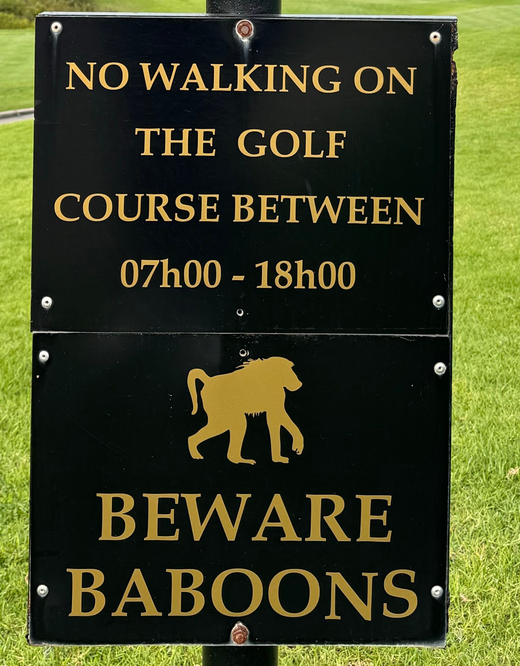 CPT MM Golfsign