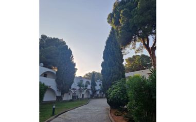 IBZ-Inforeise-StS-und-SV-Magic-Life-Cala-Pada