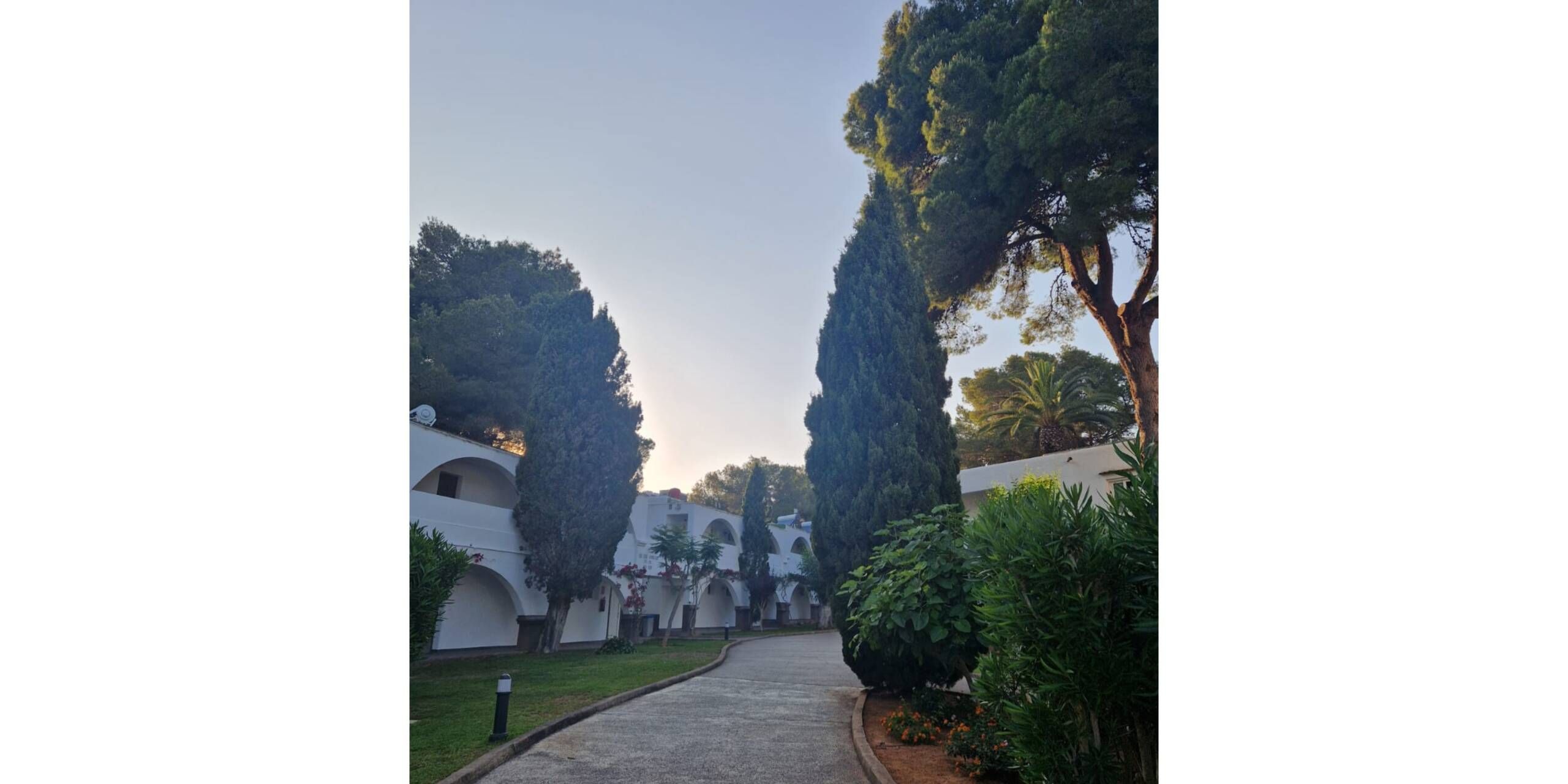 IBZ-Inforeise-StS-und-SV-Magic-Life-Cala-Pada