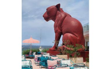 IBZ-Inforeise-StS-und-SV-NXY-San-Antonio