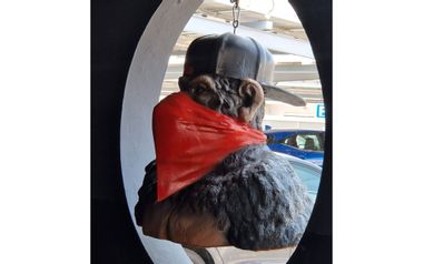 IBZ-Inforeise-StS-und-SV-Party-Zone