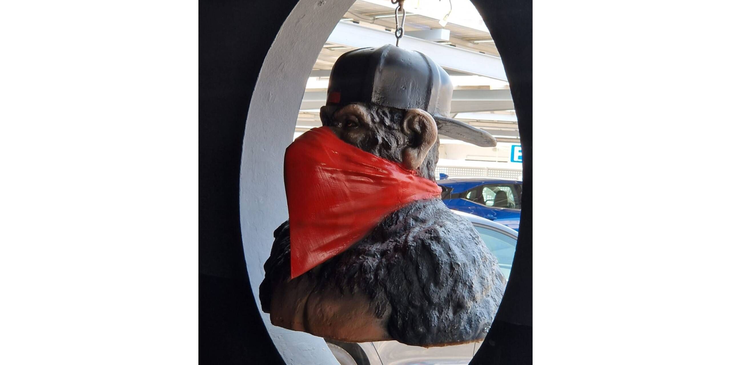 IBZ-Inforeise-StS-und-SV-Party-Zone