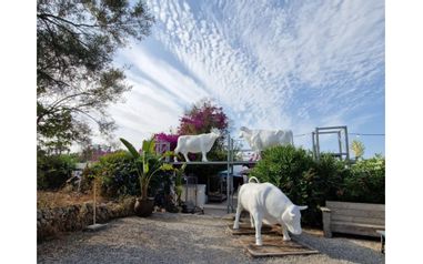 IBZ-Inforeise-StS-und-SV-Shopping