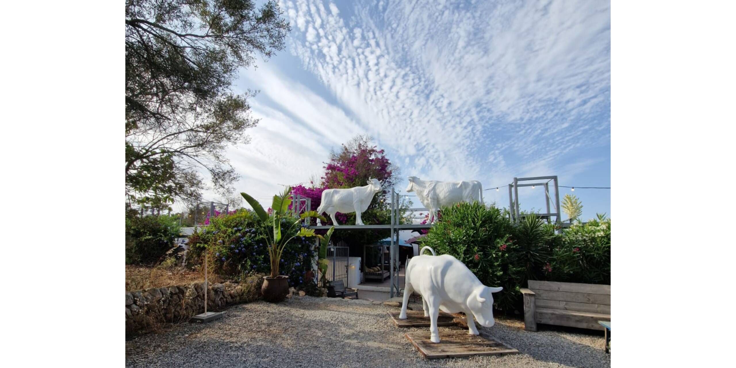 IBZ-Inforeise-StS-und-SV-Shopping