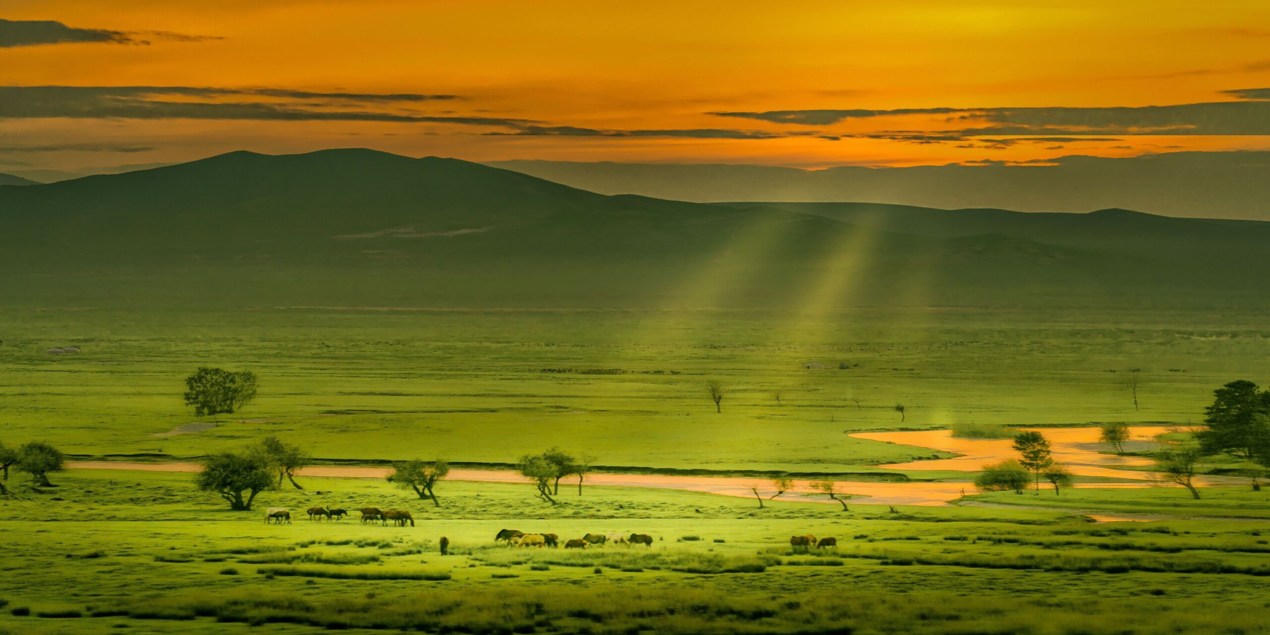 Mongolei Titelbild