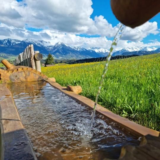 Sparangebot 4=3 im Allgäu - Wiese, Wassertrrog, Blauer Himmel mit Wolken