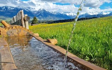 Sparangebot 4=3 im Allgäu - Wiese, Wassertrrog, Blauer Himmel mit Wolken
