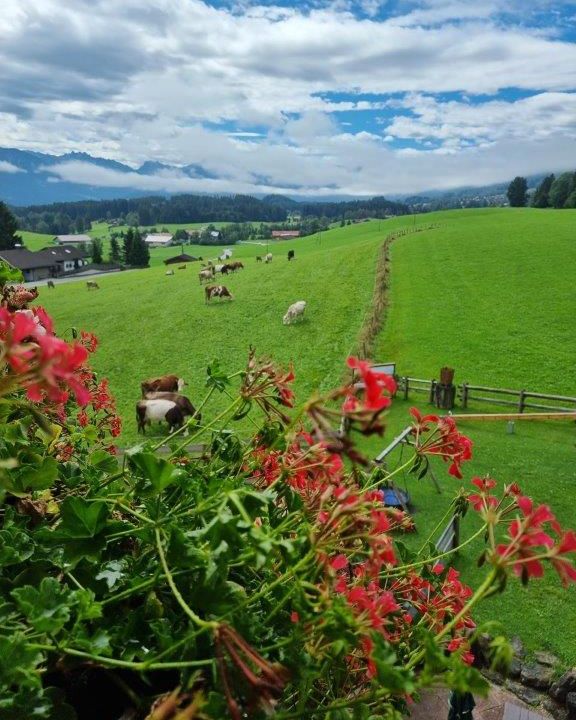 Landhotel Alphorn Aussicht