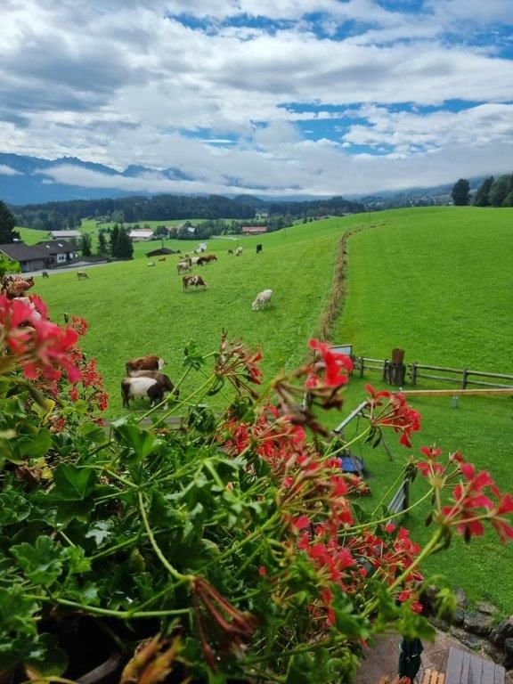 Landhotel Alphorn Aussicht