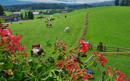 Landhotel Alphorn Aussicht