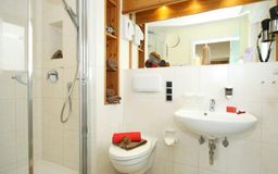 Landhotel Alphorn Doppelzimmer mit Balkon Badezimmer