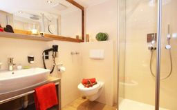 Landhotelzimmer im Landhotel Alhorn im Allgäu mit Wintergarten und Bergblick Badezimmer