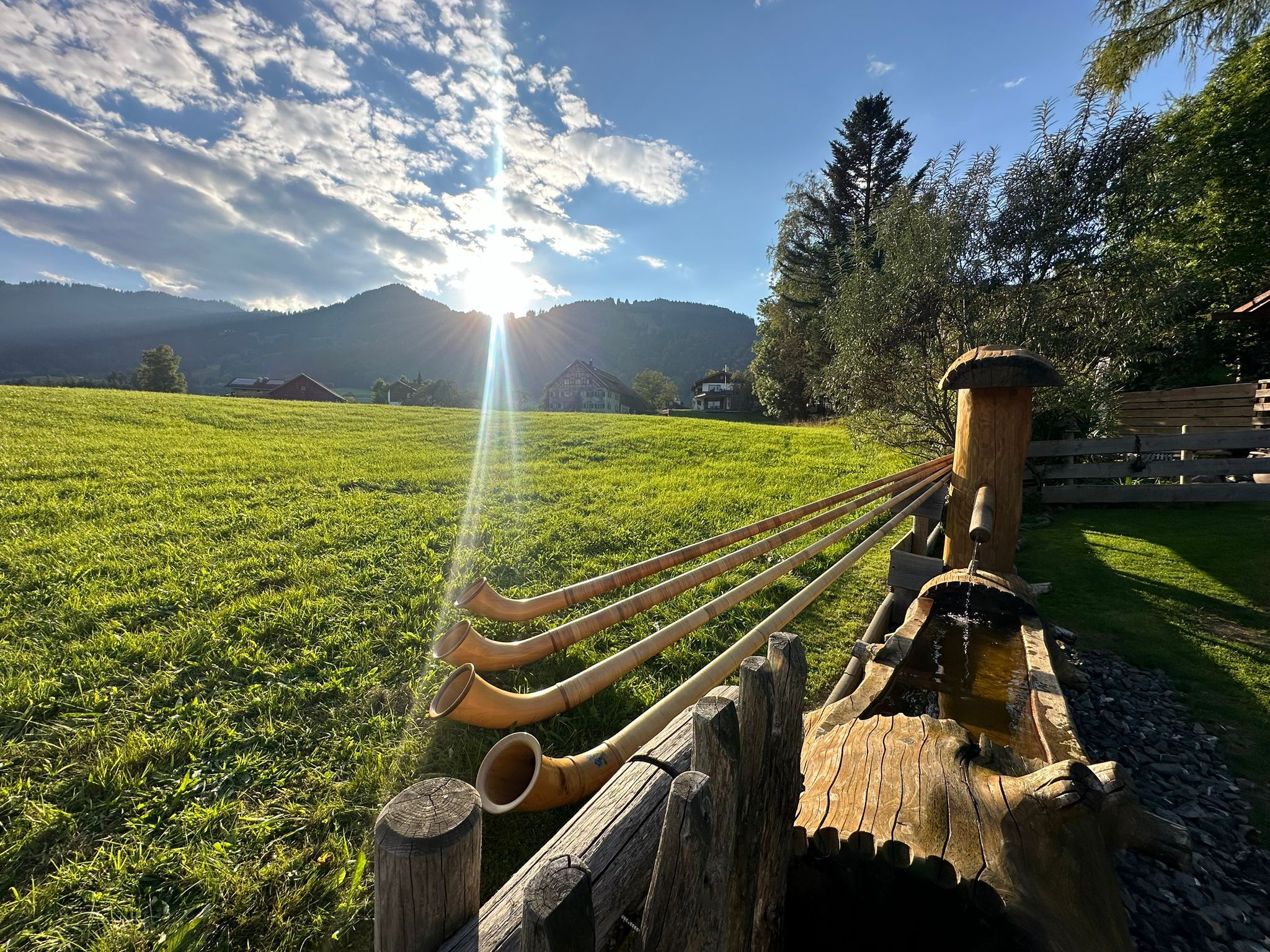 Alphorn Sonne