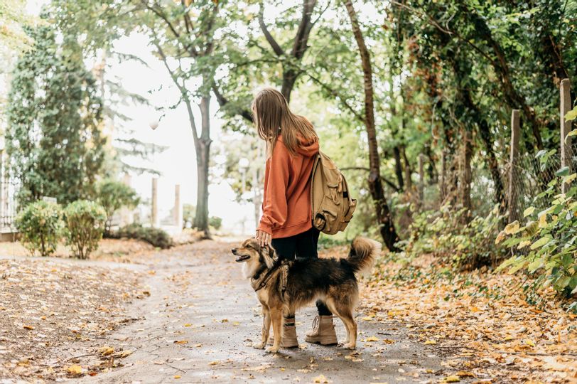 Junge Frau mit Rucksack und tierischem Begleiter auf einem herbstlichen Naturweg – Wanderung und Naturerlebnis im Allgäu.