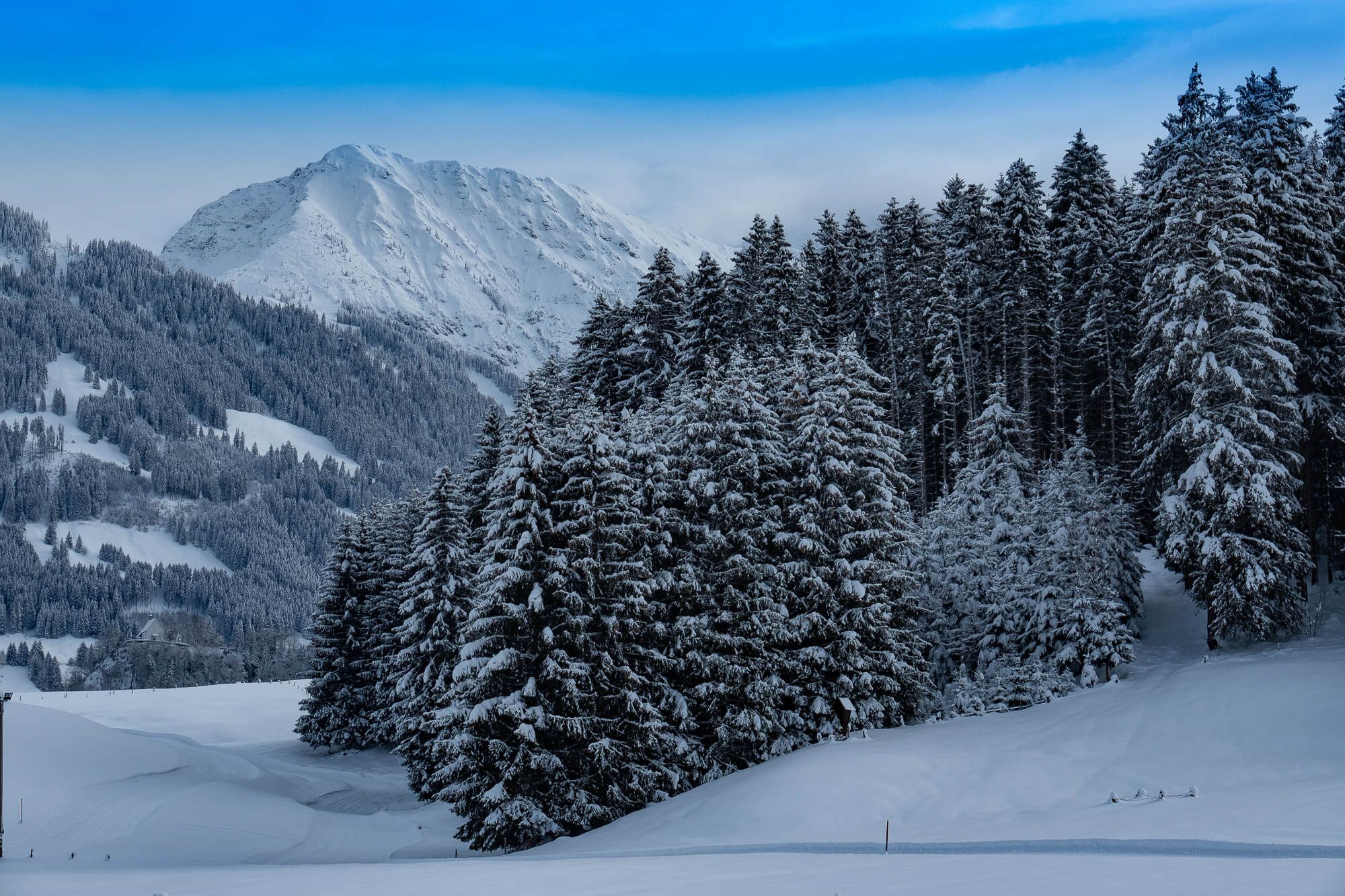 Winterliche Landschaft im Allgäu mit schneebedeckten Bäumen und Bergen – ruhige und idyllische Winterstimmung in den Alpen.