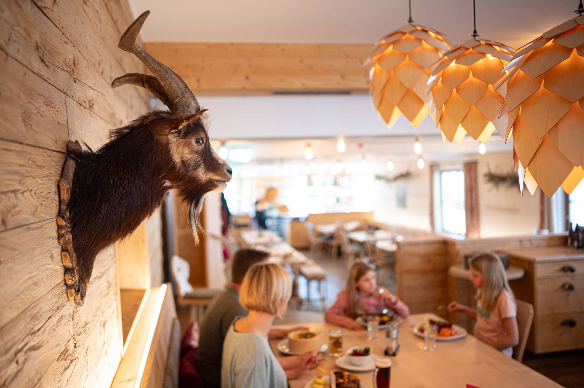 Herzhaftes Allgäuer Essen im Restauran in Fischen – regionale Spezialitäten in gemütlichem Ambiente genießen.