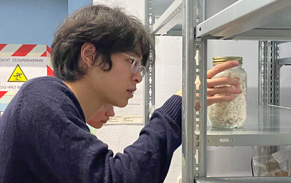 P-Seminar Design im ZAM