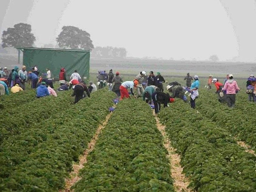 Theater: „Ernte? Hilfe!“ am Mi, 22.03.23, im Rahmen der Internationalen Wochen gegen Rassismus