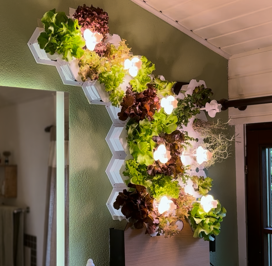 CompactGreens: Unser Schüler-Startup braucht Ihre Unterstützung!