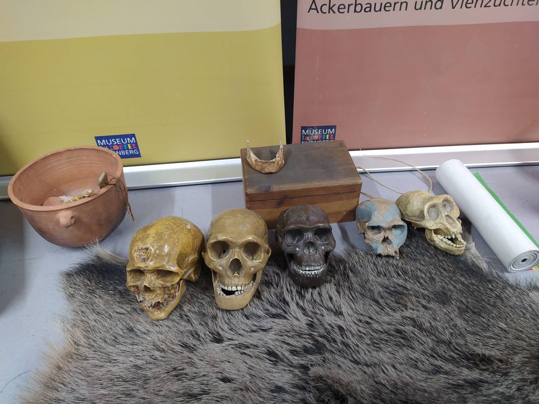 Eine Reise in die Steinzeit