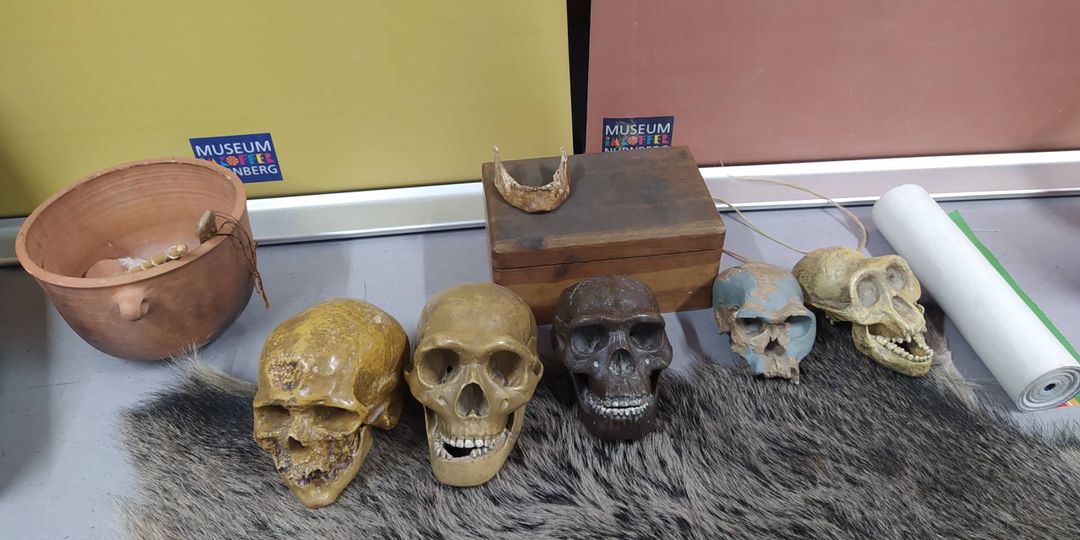 Eine Reise in die Steinzeit