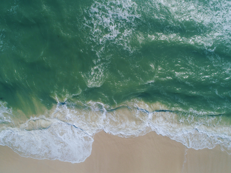 Ein Abend voller Kreativität und Engagement – Vernissage „Von Erlangen zu den Ozeanen“ in der Stadtbibliothek