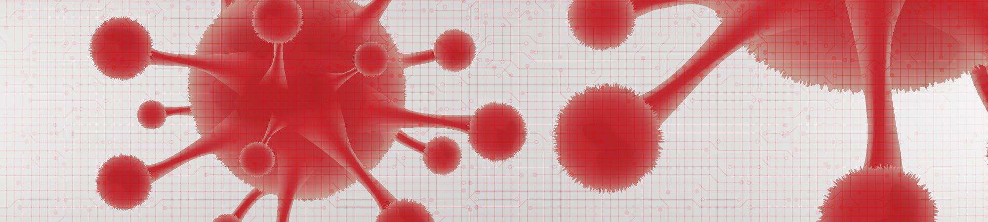 ein Bild von zwei roten Erregern mit kugeligen Fortsätzen