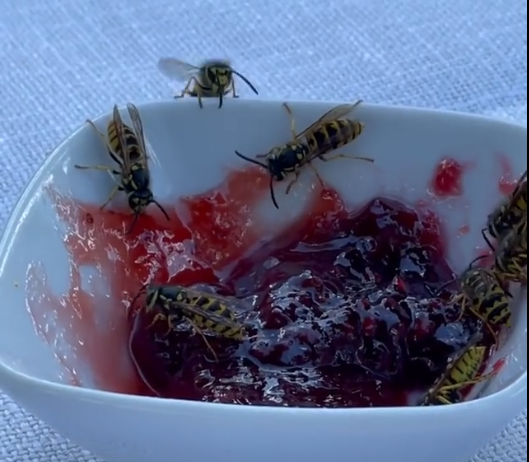 eine Schale mit Marmelade mit lauter Bienen darin