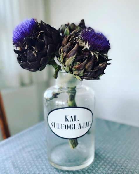 Artischockenblüten in einem Apothekengefäß