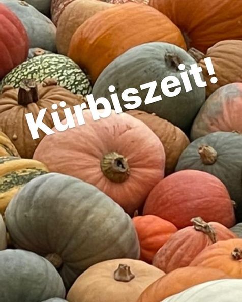 bunte Kürbisse mit dem Schriftzug "Kürbiszeit!"