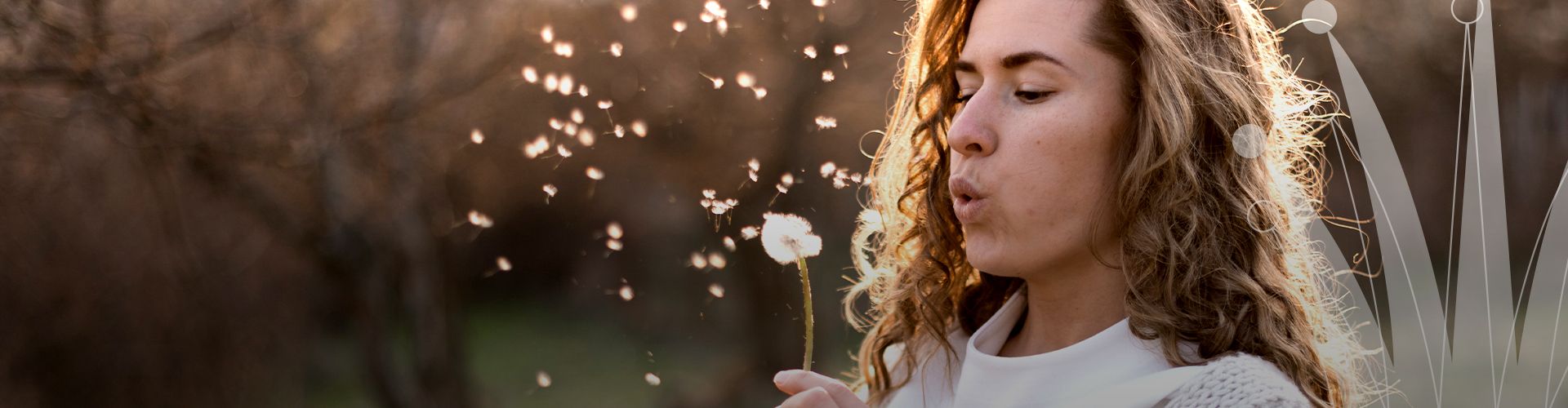eine Person bläst Löwenzahnsamen von einem Stängel