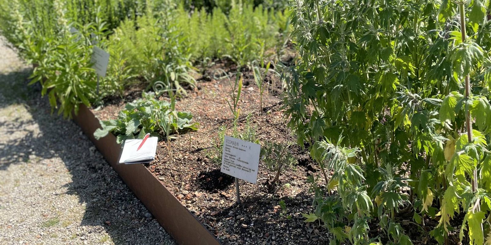 Wieder Führungen im Brenzpark!