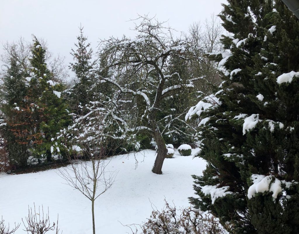 Winterlandschaft im Garten